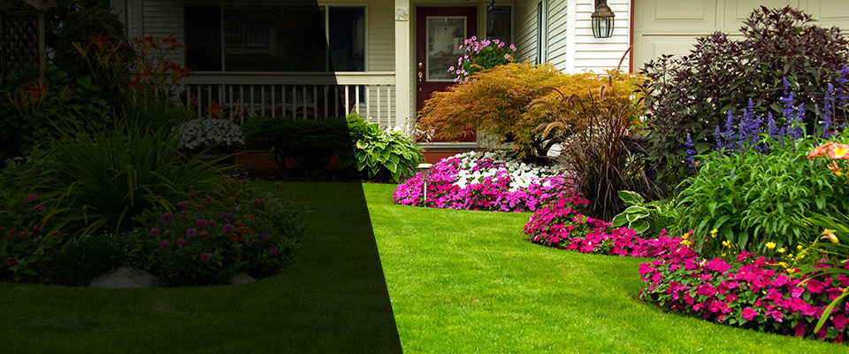 Darien Landscapers