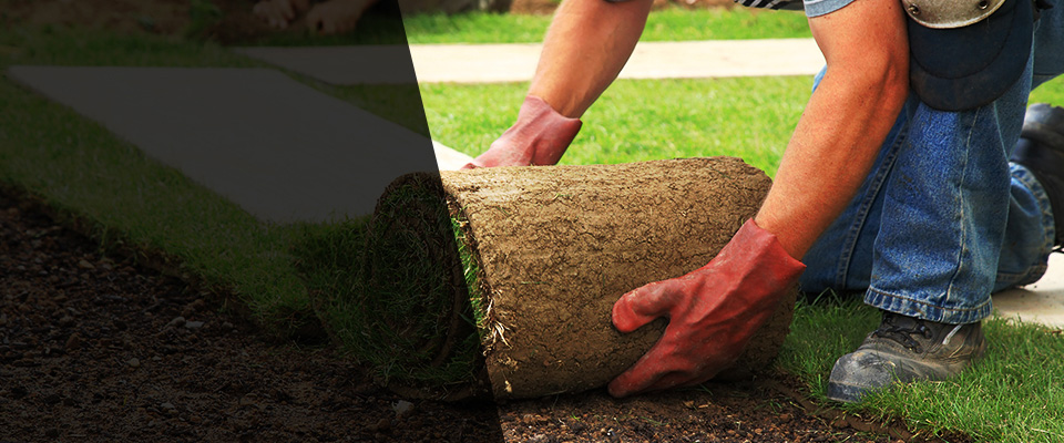 Darien Landscapers